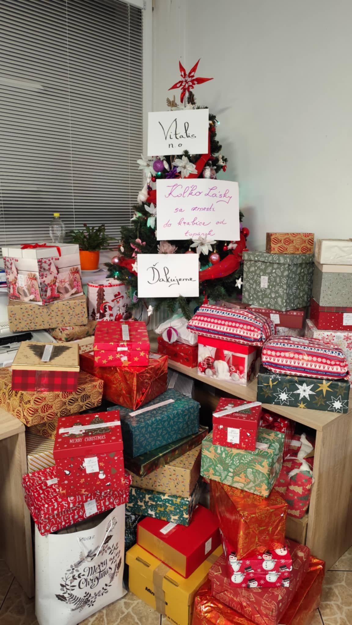 laska v krabici fotka